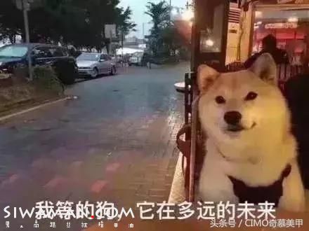 pinypN2R52j2NYRZ.jpg