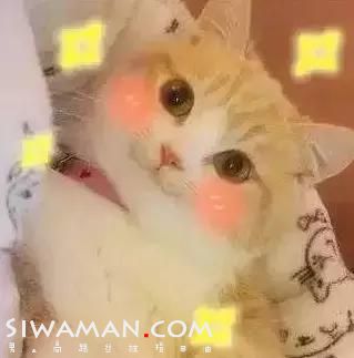 GIT95I9qfpq6t55j.jpg
