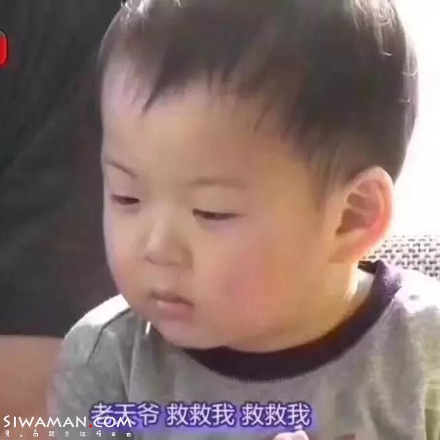 jzzE9WHqh6qq56H1.jpg