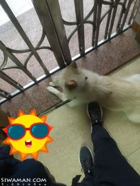 ѧ֮ǰ[8P]