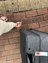 ɣ[1P]