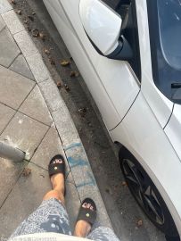 [1P]