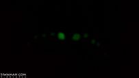 ҹ[11P]