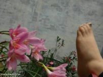 һͿָ[6P]