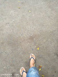 ֻͿһ[1P]